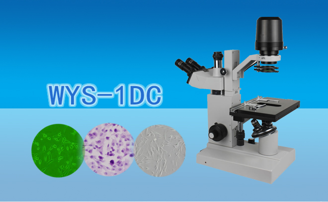 三目倒置生物顯微鏡WYS-1DC